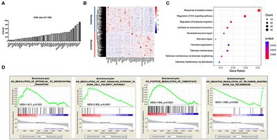 Identifying Predictive Gene Expression and Signature Related to Temozolomide Sensitivity of Glioblastomas